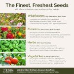 Florida Wildflower Seed Mix for Attracting Pollinators