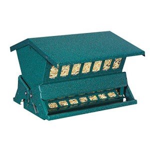 Squirrel Resistant Bird Feeder by Woodlink