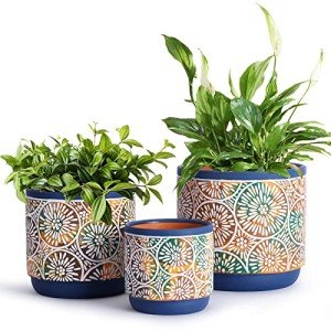DeeCoo Set of 3 Decorative Ceramic Planters