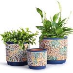 DeeCoo Set of 3 Decorative Ceramic Planters