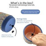 DeeCoo Set of 3 Decorative Ceramic Planters