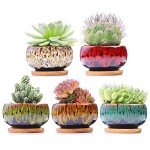 Charming Ceramic Succulent Pots with Drainage (Set of 5)