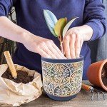 DeeCoo Set of 3 Decorative Ceramic Planters