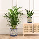 DeeCoo Set of 3 Decorative Ceramic Planters