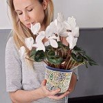 DeeCoo Set of 3 Decorative Ceramic Planters