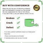 DeeCoo Set of 3 Decorative Ceramic Planters