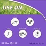 Bonide Eight Insect Control Garden Dust, 3 lbs