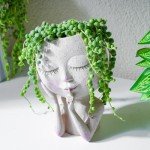 Live String of Pearls Succulent Plant in Pot