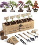 Avergo Indoor Bonsai Tree Starter Kit
