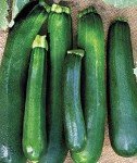 Black Beauty Zucchini Seeds - 100 Count