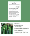 Black Beauty Zucchini Seeds - 100 Count