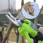 Battery-Powered Electric Pruning Shears for Gardening
