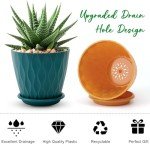 6-Inch Plant Pots Set of 5 with Drainage