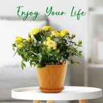 6-Inch Plant Pots Set of 5 with Drainage