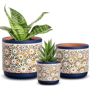 3-Piece Decorative Ceramic Plant Pots Set
