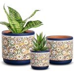 3-Piece Decorative Ceramic Plant Pots Set