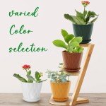 6-Inch Plant Pots Set of 5 with Drainage