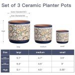 3-Piece Decorative Ceramic Plant Pots Set