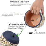 3-Piece Decorative Ceramic Plant Pots Set