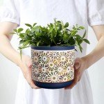 3-Piece Decorative Ceramic Plant Pots Set