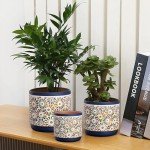 3-Piece Decorative Ceramic Plant Pots Set