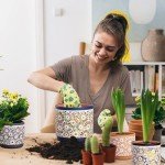 3-Piece Decorative Ceramic Plant Pots Set