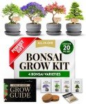 Bonsai Tree Kit: Grow 4 Easy Species