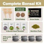 Bonsai Tree Kit: Grow 4 Easy Species