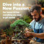 Bonsai Tree Kit: Grow 4 Easy Species