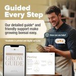 Bonsai Tree Kit: Grow 4 Easy Species