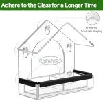 Transparent Bird Feeder with Strong Suction Cups
