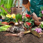 1 Gallon Galvanized Watering Can with Garden Tools