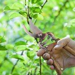 1 Gallon Galvanized Watering Can with Garden Tools