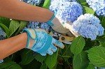Women's Touchscreen Gardening Gloves with Blue Leaves