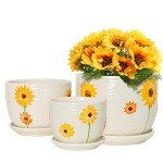 Set of 3 Ceramic Sunflower Plant Pots