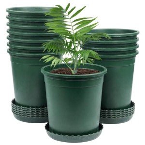 12-Count 6-Inch Green Nursery Pots with Drainage