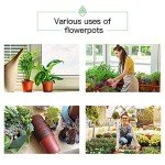 100-Pack 6-Inch Plastic Nursery Pots with Labels