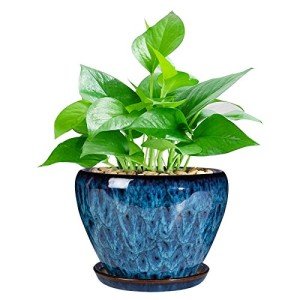 Modern Ceramic Succulent Planter Pot with Saucer