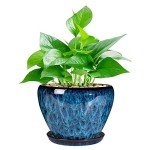 Modern Ceramic Succulent Planter Pot with Saucer