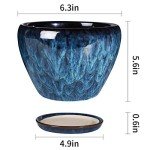 Modern Ceramic Succulent Planter Pot with Saucer