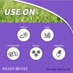 Bonide Eight Insect Control Granules for Gardens