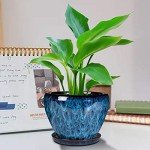 Modern Ceramic Succulent Planter Pot with Saucer