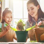 15-Pack 6-Inch Flower Pots with Saucers - Green