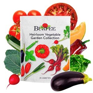 Heirloom Vegetable Seeds Variety Pack - 35 Types