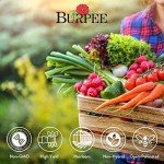 Heirloom Vegetable Seeds Variety Pack - 35 Types