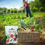 Heirloom Vegetable Seeds Variety Pack - 35 Types