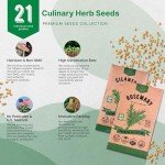 21 Herb Seeds Variety Pack for Home Gardening