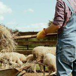 OZERO Leather Gardening Gloves - Durable & Flexible