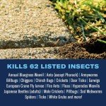 BioAdvanced Complete Insect Killer for Lawns, 40 oz