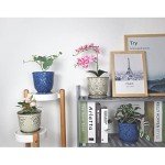 Beaded Ceramic Planter Set of 2 - 6 Inch